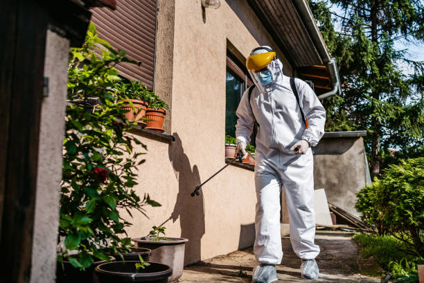 Best Flea Control Services  in Huntingdon, TN